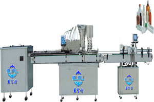 GHR-E Double-side Labeling Machine
